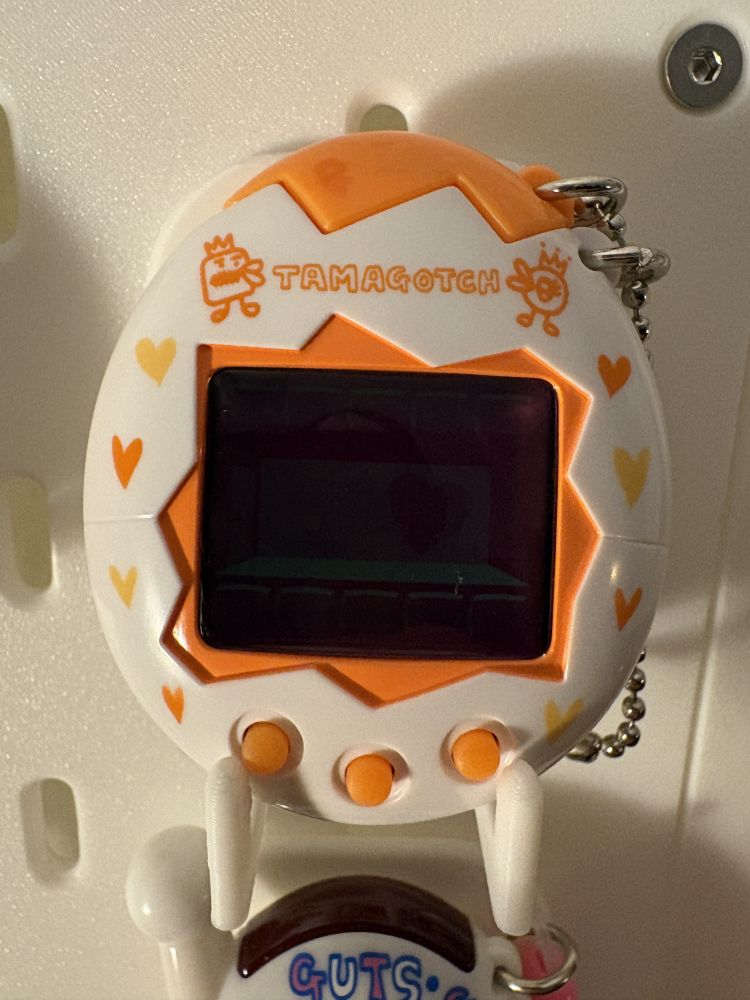 Mesutchi White and Orange