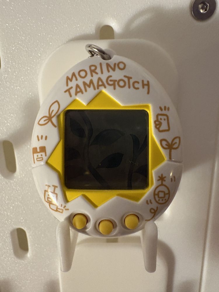 Morino